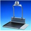 NCNR PRO DIGITAL W/CHAIR RAMP SCALE DS