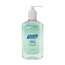 SANITIZER HAND 12 OZ W/ALOE W/PUMP12/CS(LIM QTY)